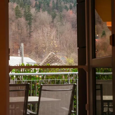 Mountain Retreat Apartment *